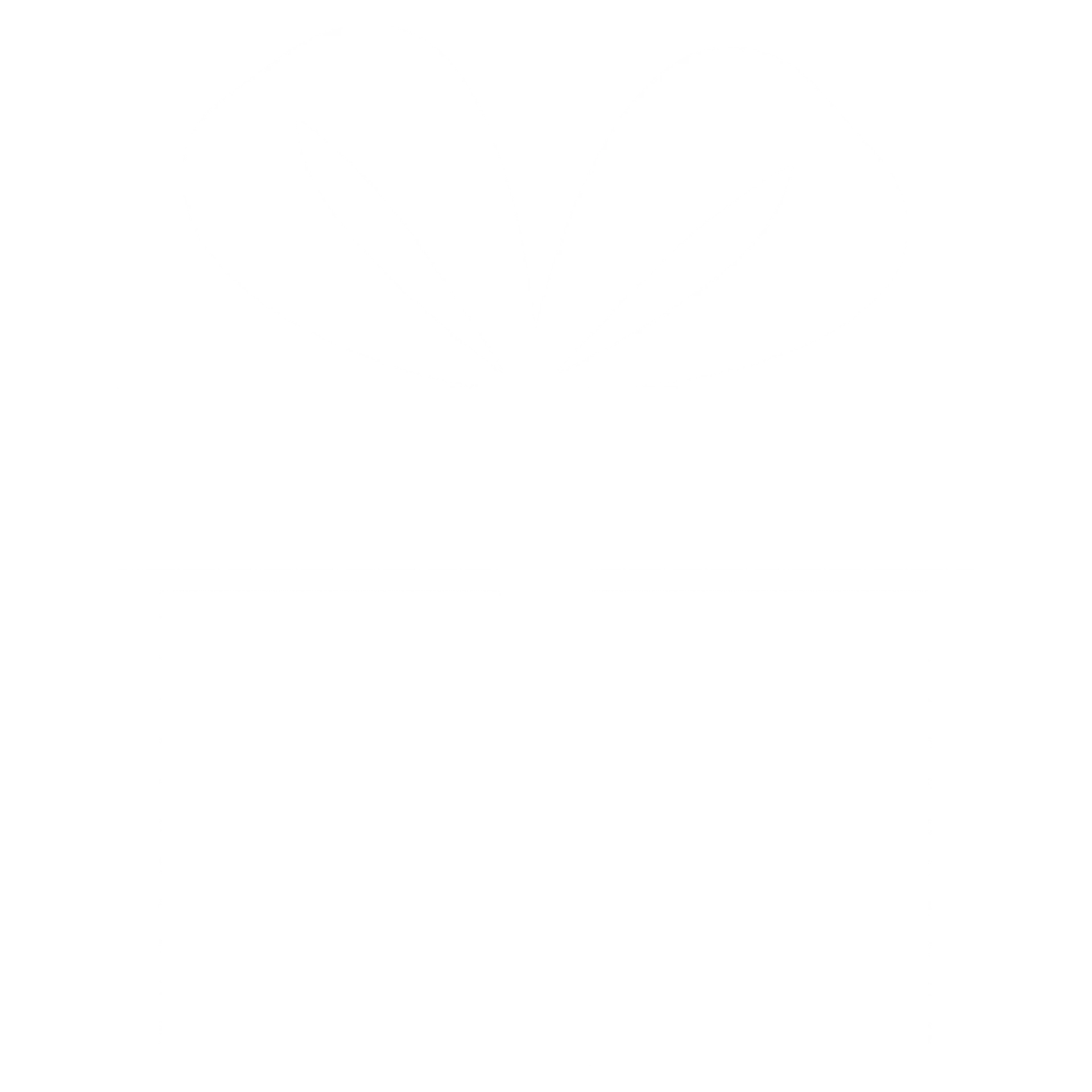 BONUS VIP805